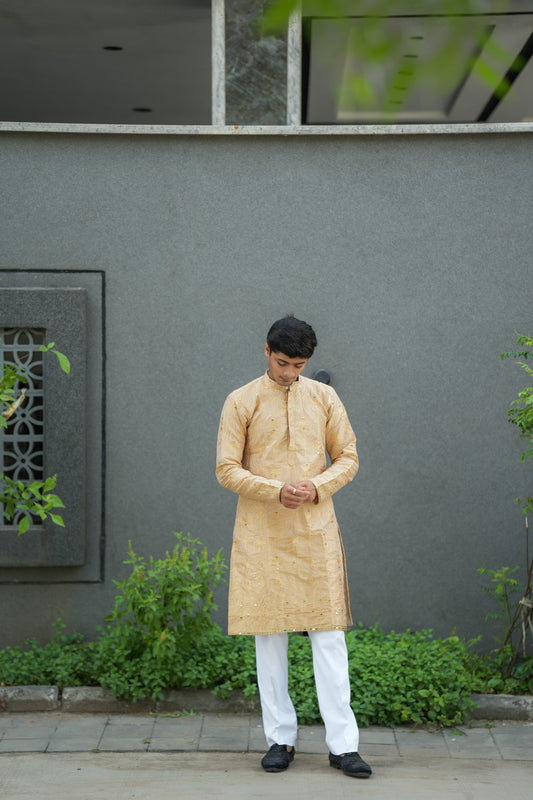 LAXMI JACQUARD MIRROR KURTA